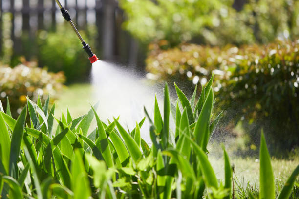 Tamper-Resistant Bait Stations for Rodents in Cherry Creek