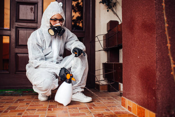 Attic and Crawl Space Rodent Treatment in Cherry Creek