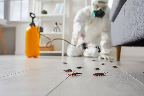 Commercial Rodent Management in Cherry Creek